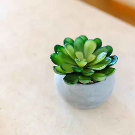 Apartament Casa Rapp Alvor