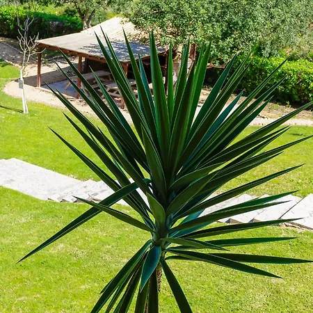 Apartament Casa Rapp *