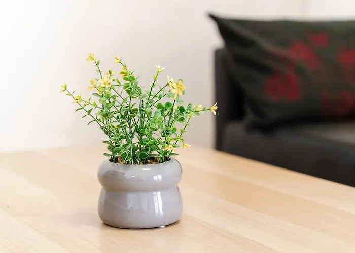 Lägenhet Casa Rapp *