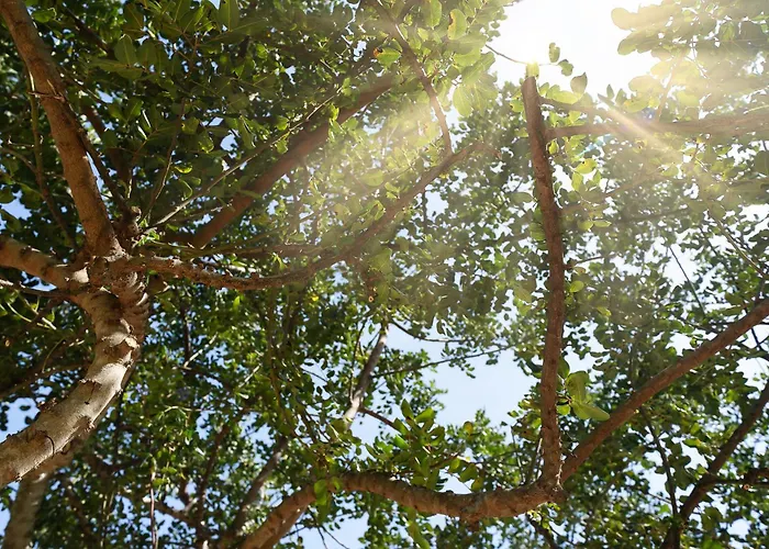 Lägenhet Casa Rapp *