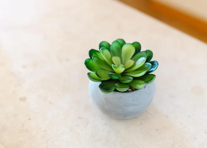 Lägenhet Casa Rapp Alvor