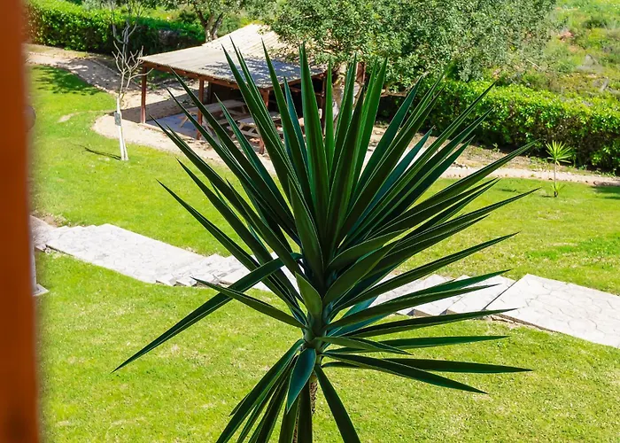 Lägenhet Casa Rapp *