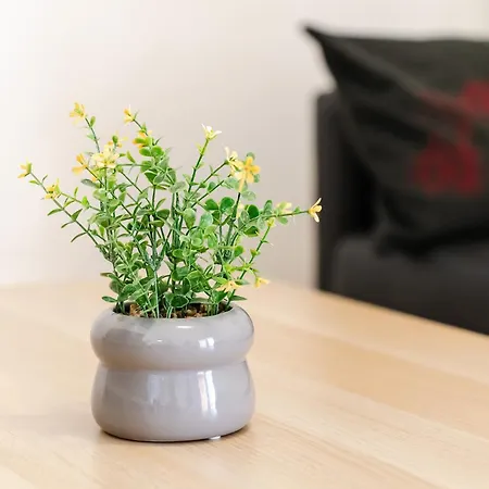 Apartamento Casa Rapp *