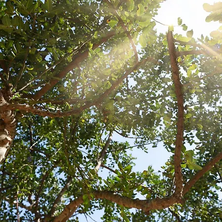 Apartamento Casa Rapp *