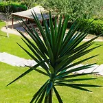 Apartamento Casa Rapp *